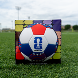 Size 5 - Replica WC Soccer Ball, USA